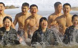 Những 'bông hồng thép' Hàn Quốc mà đặc nhiệm Triều Tiên sẽ phải đối mặt