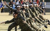 Những 'bông hồng thép' Hàn Quốc mà đặc nhiệm Triều Tiên sẽ phải đối mặt