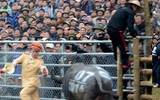 Nhìn lại những hình ảnh lễ hội chọi trâu Đồ Sơn biến thành cơn ác mộng