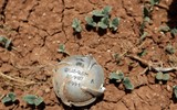 Hình ảnh biết nói về cuộc chiến đẫm máu tại Syria (1)