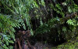 Đối thủ nào khiến vũ khí Mỹ, Đức, Nga, Nhật đều thúc thủ và lụi tàn 