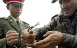 Trung - Ấn đối đầu căng thẳng, xung đột giữa hai con hổ châu Á có xảy ra?
