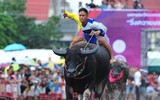 Biến chọi trâu thành đua trâu như tại Thái Lan, tại sao không?
