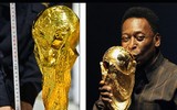 Bất ngờ lý thú về chiếc cúp vàng bóng đá FIFA mà không phải ai cũng biết.