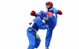 Vovinam-Niềm tự hào võ thuật thể thao dân tộc Việt Nam khiến bạn bè quốc tế kính nể