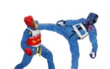 Vovinam-Niềm tự hào võ thuật thể thao dân tộc Việt Nam khiến bạn bè quốc tế kính nể