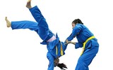 Vovinam-Niềm tự hào võ thuật thể thao dân tộc Việt Nam khiến bạn bè quốc tế kính nể