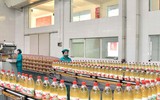 Độc đáo lễ hội bia tại Triều Tiên khiến du khách thế giới thích thú