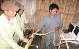 Nếu có cơ hội, hãy thử món ăn 'vua chúa' này một lần trong đời