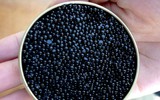 Nếu có cơ hội, hãy thử món ăn 'vua chúa' này một lần trong đời