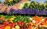 Israel, bậc thầy về lĩnh vực nông nghiệp từ trên mảnh đất khô cằn khiến thế giới bái phục