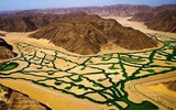 Israel, bậc thầy về lĩnh vực nông nghiệp từ trên mảnh đất khô cằn khiến thế giới bái phục