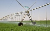 Israel, bậc thầy về lĩnh vực nông nghiệp từ trên mảnh đất khô cằn khiến thế giới bái phục