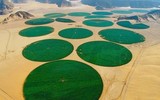 Israel, bậc thầy về lĩnh vực nông nghiệp từ trên mảnh đất khô cằn khiến thế giới bái phục