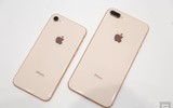 Bộ đôi iPhone 8 và 8 Plus chỉ là 