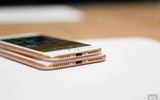 Bộ đôi iPhone 8 và 8 Plus chỉ là 