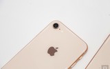 Bộ đôi iPhone 8 và 8 Plus chỉ là 