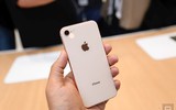 Bộ đôi iPhone 8 và 8 Plus chỉ là 