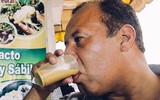 [ẢNH] Sinh tố ếch ở Peru, món ngon có phần rùng rợn