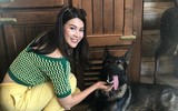[ẢNH] Á hậu Thái Lan tử nạn trong vụ máy bay chở Chủ tịch Leicester rơi