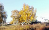 [ẢNH] Mãn nhãn với hình ảnh xe tăng T-90 đang được Nga sản xuất cho đối tác tại Đông Nam Á