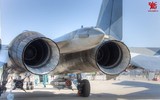 [ẢNH] Động cơ đẩy vector 3D trên Su-35 của Nga thực chất chỉ là 2D?