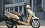[ẢNH] Honda Nhật Bản triệu hồi 37.000 xe Lead vì dính lỗi
