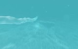 [ẢNH] Siêu ngư lôi hạt nhân Poseidon Nga chỉ mạnh qua lời quảng cáo?