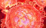 [ẢNH] Chấn động khi phát hiện 12.000 chai huyết tương nhiễm HIV