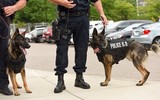 [ẢNH] Bí mật biệt đội cảnh khuyển K9 bảo vệ Tổng thống Trump ở Hà Nội
