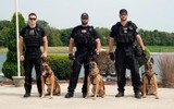 [ẢNH] Bí mật biệt đội cảnh khuyển K9 bảo vệ Tổng thống Trump ở Hà Nội