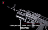 [ẢNH] AK-203 có gì khiến Ấn Độ vứt bỏ niềm tự hào, ngay cả với súng trường INSAS