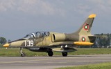 [ẢNH] Bất ngờ chiến đấu cơ được Syria dùng hiệu quả lại không phải từ Nga