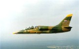 [ẢNH] Bất ngờ chiến đấu cơ được Syria dùng hiệu quả lại không phải từ Nga