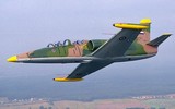 [ẢNH] Bất ngờ chiến đấu cơ được Syria dùng hiệu quả lại không phải từ Nga