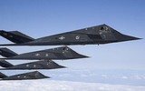 [ẢNH] Mỹ cho cần cẩu nghiền nát 'chim ưng đêm tàng hình' F-117