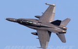 [ẢNH] Chiếc F/A-18D Malaysia bùng lửa sau khi va phải chim