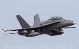 [ẢNH] Chiếc F/A-18D Malaysia bùng lửa sau khi va phải chim