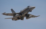 [ẢNH] Chiếc F/A-18D Malaysia bùng lửa sau khi va phải chim