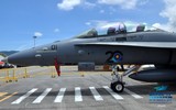 [ẢNH] Chiếc F/A-18D Malaysia bùng lửa sau khi va phải chim