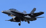 [ẢNH] Chiếc F/A-18D Malaysia bùng lửa sau khi va phải chim