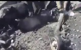 [ẢNH] Sự thật việc Taliban vừa tuyên bố hạ pháo đài bay B-52 Mỹ