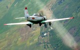[ẢNH] Tìm hiểu về loại máy bay huấn luyện Yak-52 của không quân Việt Nam