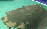 [ẢNH] Iran trưng bày mảnh vỡ UAV đắt hơn cả F-35 và nỗi uất hận của Mỹ