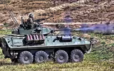 [ẢNH] Tại sao Mỹ lại ‘xích’ xe thiết giáp LAV-25 vào sàn tàu đổ bộ?