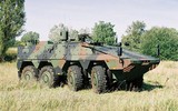 [ẢNH] Australia nhận xe bọc thép 