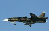 [ẢNH] Hạn chế về vật liệu chế tạo khiến Su-47 Nga 