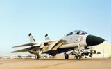 [ẢNH] Iran lệnh cho phi đội F-14 cất cánh sau khi Thiếu tướng Qasem Soleimani bị Mỹ hạ sát
