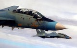 [ẢNH] Iran lệnh cho phi đội F-14 cất cánh sau khi Thiếu tướng Qasem Soleimani bị Mỹ hạ sát