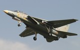 [ẢNH] Iran lệnh cho phi đội F-14 cất cánh sau khi Thiếu tướng Qasem Soleimani bị Mỹ hạ sát